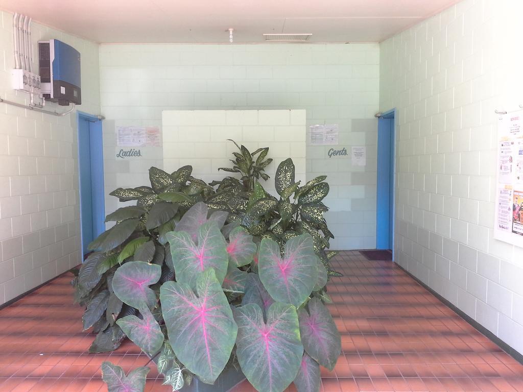 Flying Fish Point Tourist Park Hotel Инисфейл Екстериор снимка